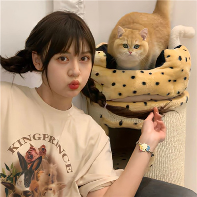 温州伴游女生星晓莉的资料